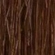 S4