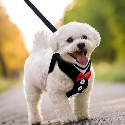 1 pieza Arnés para pecho de mascota y correa de espalda para caminar perros medianos y pequeños, cadena para perro tipo Teddy, correa de perro, cuerda, suministros para perros
