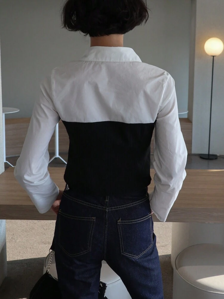Women's Business Casual Slim Fit 2 In 1 Color Block Shirt,Fall Women Clothes Long Sleeve Top