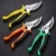 Multicolor