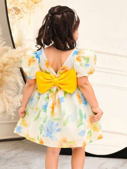 SHEIN Leap Crew Baby Girl Elegant Cute Floral Organza Bubble Short Sleeve Dress, Summer