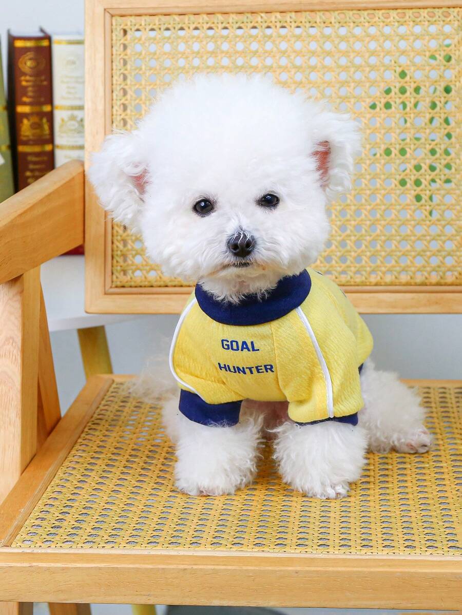 PETSIN 1 chiếc áo thun cổ tròn dệt kim đa năng cho chó/mèo màu vàng có in chữ và số, phong cách thường ngày/thể thao - Màu vàng - Xem 1