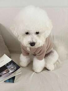 1 件多功能宠物服装高领百搭衬衫，适合泰迪、博美犬、约克夏犬等小型犬，秋冬季