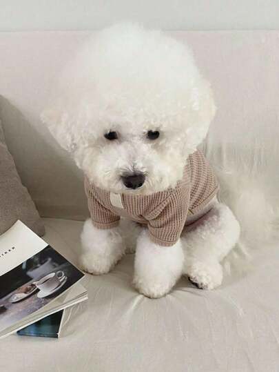 1 件多功能宠物服装高领百搭衬衫，适合泰迪、博美犬、约克夏犬等小型犬，秋冬季