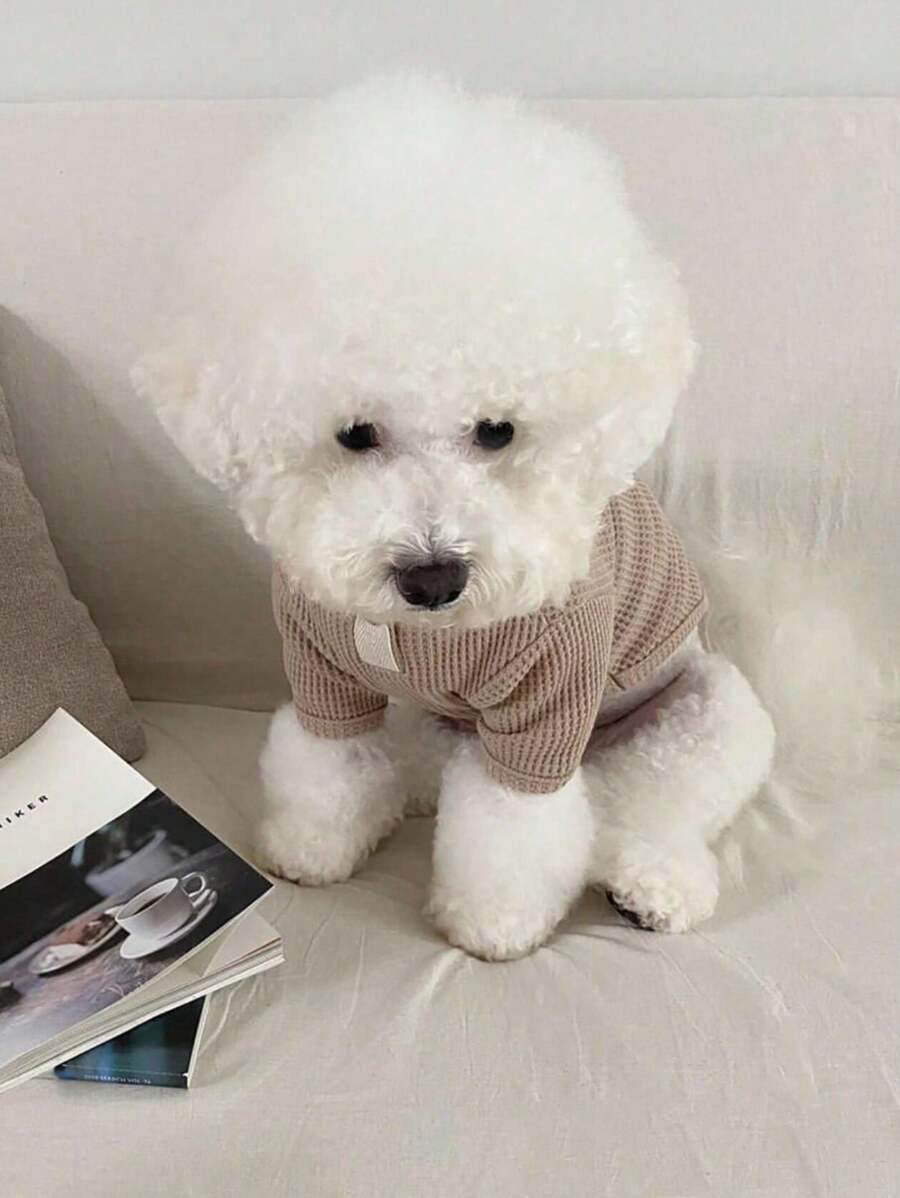 1 件多功能宠物服装高领百搭衬衫，适合泰迪、博美犬、约克夏犬等小型犬，秋冬季