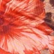 Màu Khaki