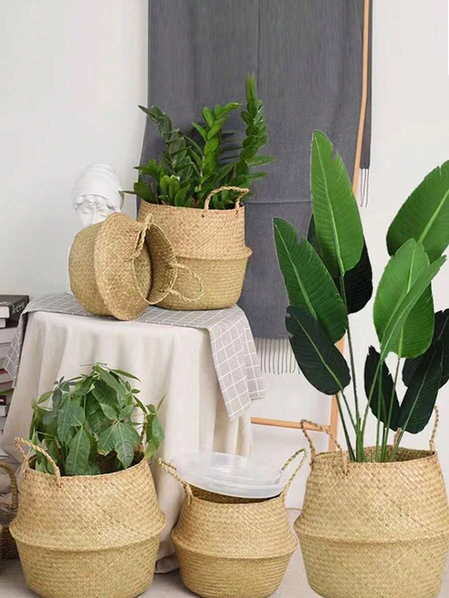 适合家庭、卧室、客厅装饰的盆栽植物花盆 - 米色 - 查看 1