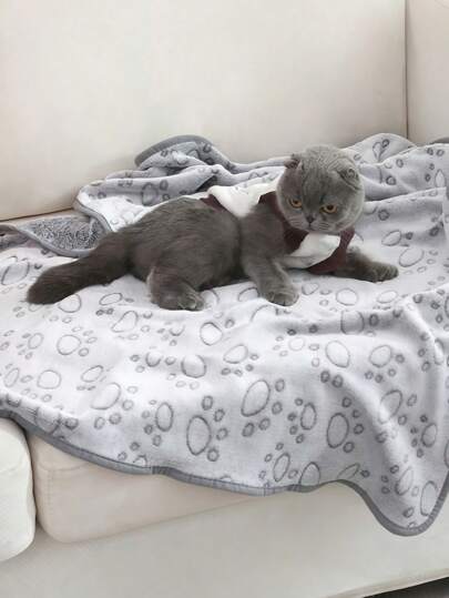 1pc Dog Blanket For Large Dogs - Washable Pet Blanket - Puppy Blanket, Suitable For Both Big And Small Dogs - Soft Plush Reversible Dog Blanket, Sofa Cover For Dogs, Grey With Paw Prints