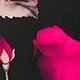 Rosa Fucsia