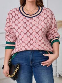 SHEIN CURVE+ 大码圆领长袖毛衣，休闲日常针织套头衫，秋冬款