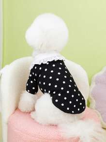 PETSIN 蕾丝边浪漫波尔卡圆点可爱猫狗宠物 T 恤衬衫，白色，适合春夏季 - 白色 - 查看 6