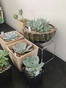 SHEIN 2 件透明亚克力展示架 - 多功能展示珠宝运动鞋 - 非常适合零售店、家居装饰和收藏品展示 - 坚固、透明的设计可最大程度提高可见度 - 增强您的商品展示效果 - 無色 - 查看 5