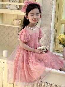 DAZY Girls Small Size Lace Mesh Patchwork Short Sleeve Spring/Summer Dress