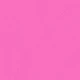 Rosa Fucsia