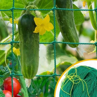 1pc Plant Climbing Net, Planting Supplies & Tools, Loofah Morning Glory Flowers Vine Plants Climbing Net Cucumber Vine Grow Holder Trellis Netting,Multiple Sizes Available