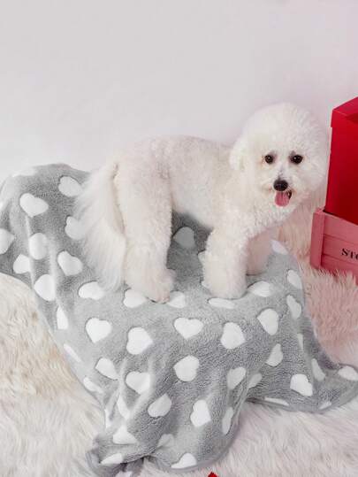PETSIN 1 件灰色心形印花可爱图案温暖法兰绒宠物毯，适合猫和狗