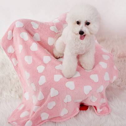 PETSIN 1pc Warm Pet Blanket With Cute Heart Print, Suitable For Cats And Dogs