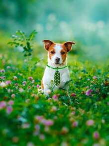 PETSIN 2/3/4pcs Random Pet Necktie, St. Patrick's Day Clover Sketch Decor, Dog Cat Grooming Accessories - Multicolor - View 5