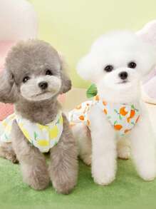 PETSIN Orange Vibrant Lovely Fruit Orange Pattern Double-Layer Bow Decor Leash & Pet Dress, Spring/Summer - Orange - View 4