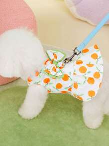 PETSIN Orange Vibrant Lovely Fruit Orange Pattern Double-Layer Bow Decor Leash & Pet Dress, Spring/Summer - Orange - View 6