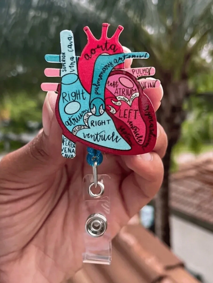 1 件 1.77 英寸 * 3.74 英寸心脏解剖图伸缩徽章卷轴，适用于护理学校，时尚心脏解剖图徽章扣卡夹，用于装饰和医院对医院工作人员的表彰和奖励，不易损坏。