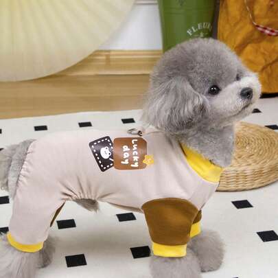 PETSIN Bộ đồ ngủ liền thân giữ nhiệt in hình gấu và ngôi sao Luckyday màu nâu cà phê cho thú cưng, mùa xuân/hè