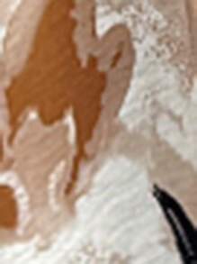 SHEIN VCAY 大码女式花卉印花度假露肩不对称下摆连衣裙