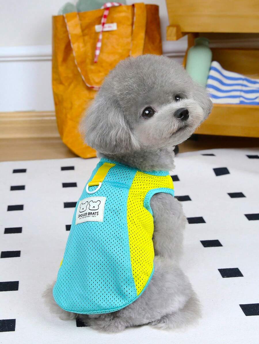 PETSIN 绿色轻便透气网眼无袖宠物背心，带有可爱的 SPOILEDBRATS 和条纹熊图案，适合小型/中型犬和猫，夏季 - 綠色 - 查看 1