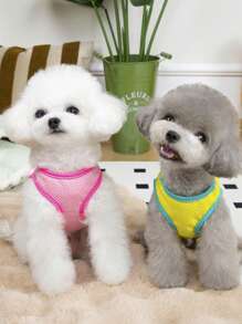 PETSIN 绿色轻便透气网眼无袖宠物背心，带有可爱的 SPOILEDBRATS 和条纹熊图案，适合小型/中型犬和猫，夏季 - 綠色 - 查看 3