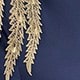 藍色