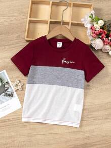 SHEIN Young Boy Letter Graphic Colorblock Tee