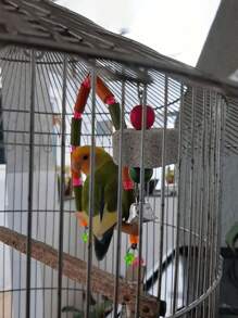 1pc Multi-Color Parrot Beak Grinding Calcium Stone With Bell Cage Toy, Floral Hanging Style Chew Toy, Suitable For Cockatiel, Lovebird, Parakeet, Hamster, Rabbit