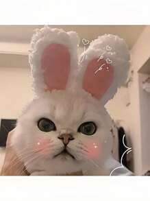 PETSIN 1 pièce Serre-tête de lapin de Pâques, costume de chaton, chapeau mignon d'oreilles de lapin avec design de Pâques - convient aux chiens et chats. Fabriqué en polyester doux. Idéal pour les séances photo et les cadeaux de Pâques, costume d'oreilles de lapin pour animaux de compagnie, serre-tête décoratif doux, chaud et confortable pour animaux de compagnie