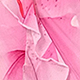 Nhiều màu
