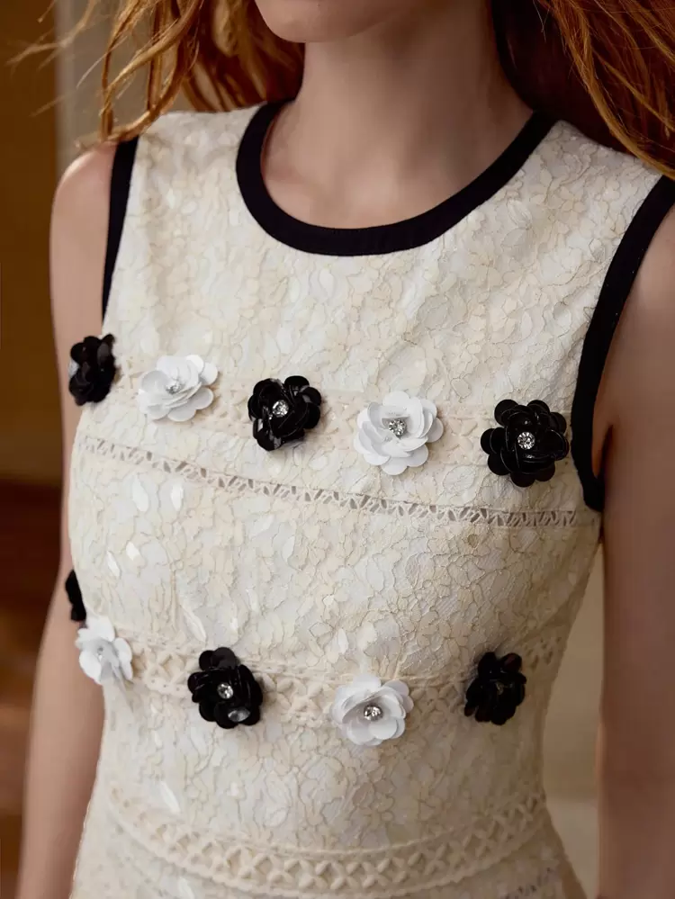 LACE CONTRAST TRIM APPLIQUES DRESS