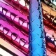 Multicolor