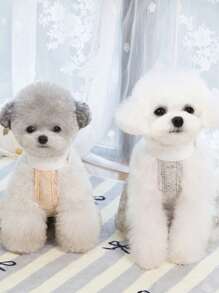 PETSIN Orange Light-Weight Breathable Sweet Princess Angel Wing Decor Summer New Dog/Pet Dress, In Europe And America