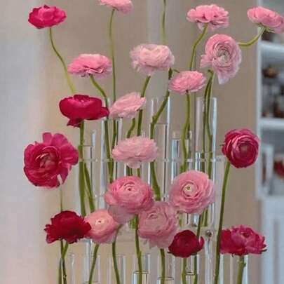 1set Transparent Home Glass Tube Vase, Hydroponic Planter, Flower Arrangement, Home Decor, Festival Gift,Home Decor,Flower Vase,Centerpiece,Table Decor,Room Decor , Ramadan Decor, Home Decor, Bathroom Decorroom Decor , Ramadan Decor, Home Decor, Bathroom Decor,Room Decor , Ramadan Decor, Home Decor, Bathroom Decor Back To School School Supplies