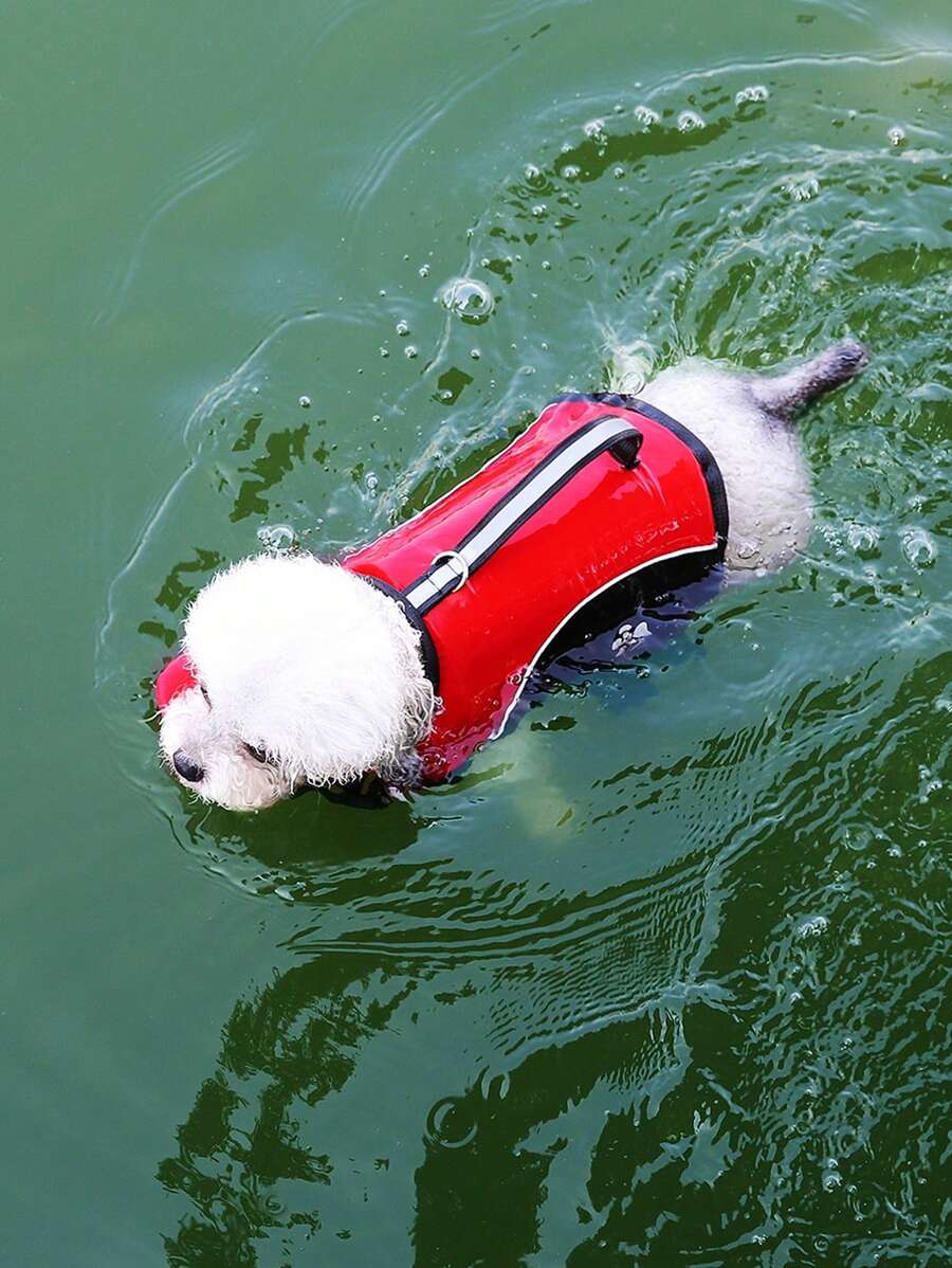 PETSIN 极简主义小狗爪印图案运动风格轻薄夏季沙滩泳装、防护服，欧美，可用于户外散步、牵引绳、宠物救生衣和泳衣 - 紅色 - 查看 1