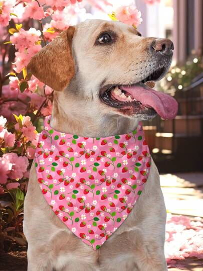 PETSIN 1 pieza Babero triangular para mascotas, baberos de perrito con estampado de frutas, bufanda para gato/perro, para primavera/verano