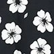 Black and White