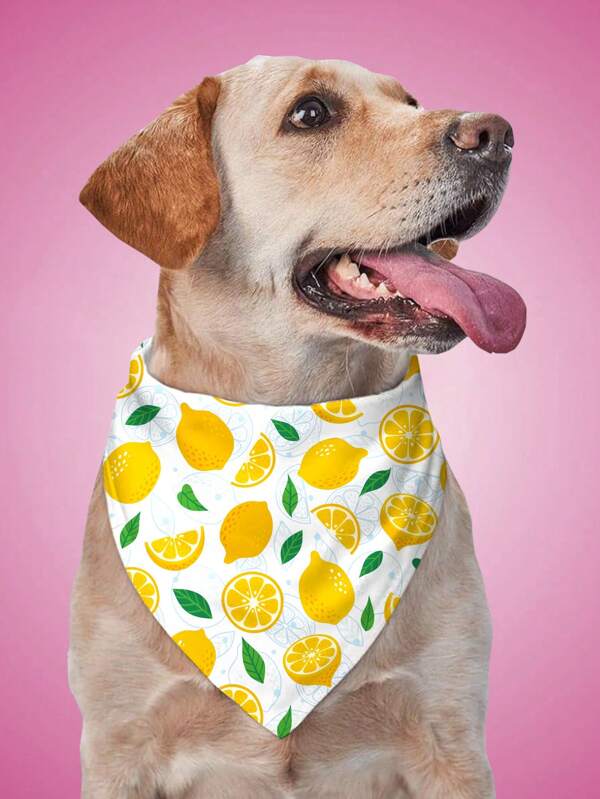 PETSIN 1 pièce Bandana triangulaire pour animaux de compagnie, foulard de chien à imprimé citron et fruits, foulard pour chat et chien, printemps/été