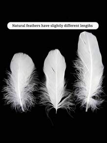 1包羽毛设计DIY装饰品