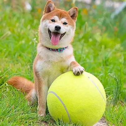 1pc Pet Tennis Ball, 24cm/9.5in Dog Tennis Ball Thrower For Training, Interactive Dog Toys