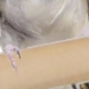 彩色