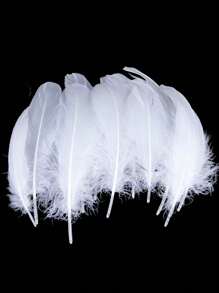 1包羽毛设计DIY装饰品