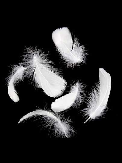 1 Pack Feather Design DIY Decoration