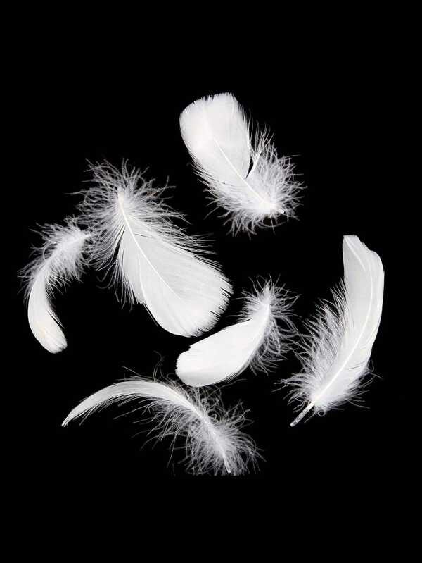 100pcs Feather Design DIY Decoration
