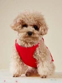 PETSIN 1 chiếc áo vest in họa tiết "I Am Loved" cho chó/mèo, thoải mái và thời trang - Đỏ - Xem 3