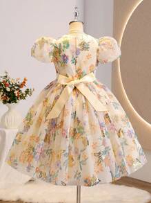 Girls' Sweet Puff Sleeve Princess Dress, Net Yarn Printed Dress For Birthday Party, Stage Performance, Fashionable Outfits - Orange - View 2